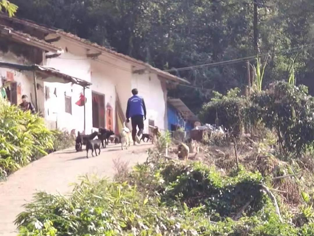 阳春房地一体项目纪实丨无悔青春多砥砺，最是奋斗动人心