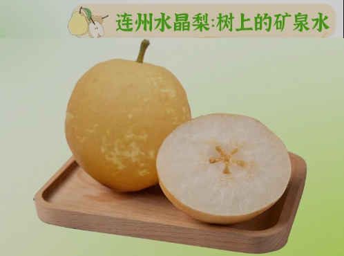 “桃李”炎暑，清冷一夏
