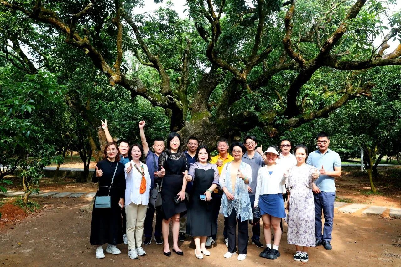 优德88集团作为省河山空间生态建复协会轮值会长带队调研粤西全域地皮综合整治工作