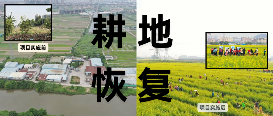 耕地；び刖梅⒄构踩凇褐惺泻窠终蛩谏缜读继锵钅扛馗丛氤窍缛诤系拇葱率导