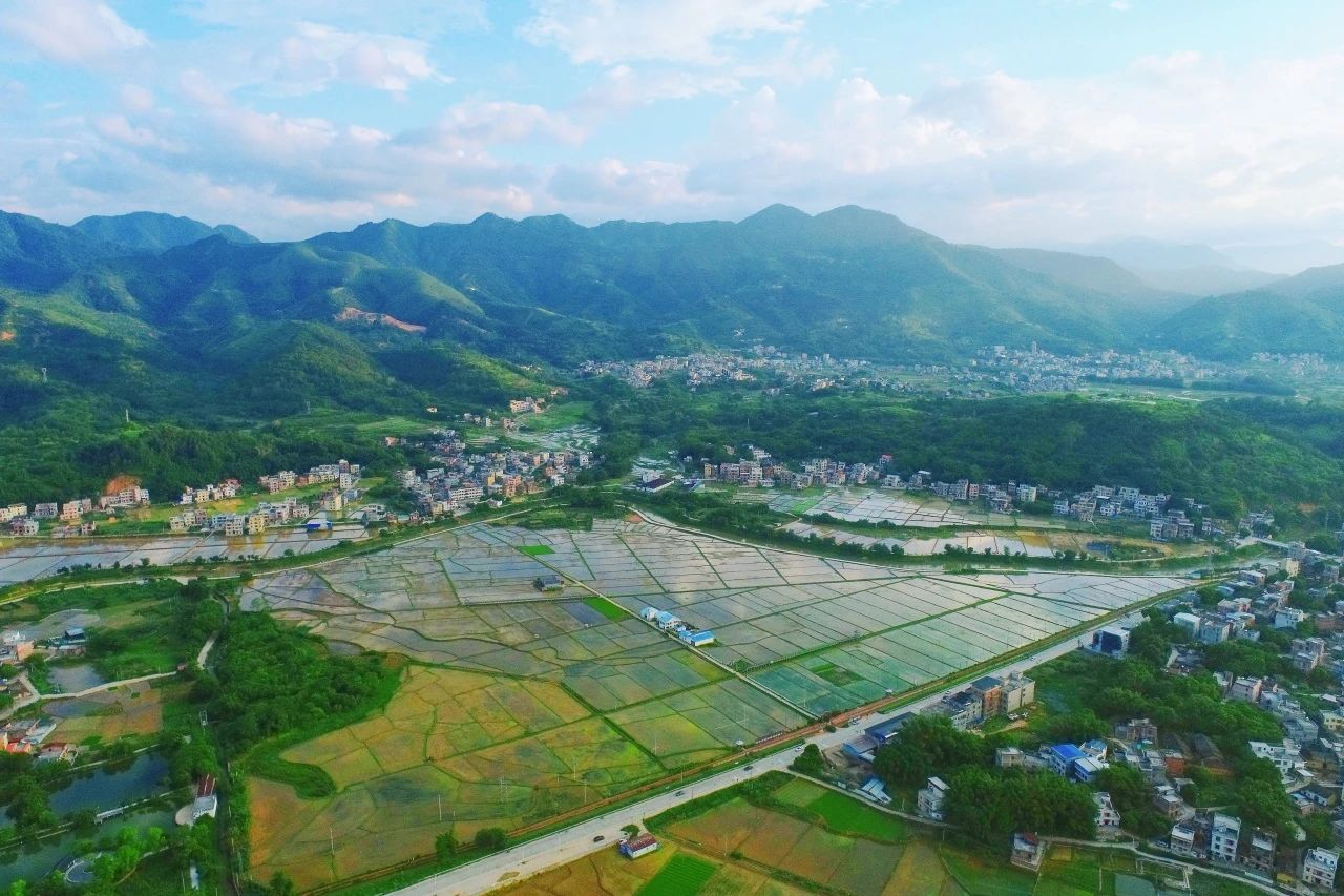 优德88集团丨“百千万工程”显实效：兰州罗定泗纶镇以全域地皮综合整治为抓手，绘就村落振兴新画卷